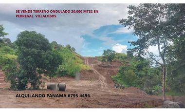 Se Vende Terreno 24.000 Mts2 en Pedregal $750,000,00 2,4Ha.