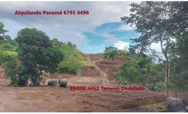 Se Vende Terreno 24.000 Mts2 en Pedregal $750,000,00 2,4Ha.