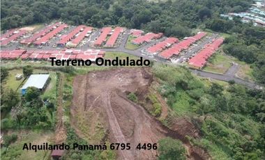 Se Vende Terreno 24.000 Mts2 en Pedregal $750,000,00 2,4Ha.