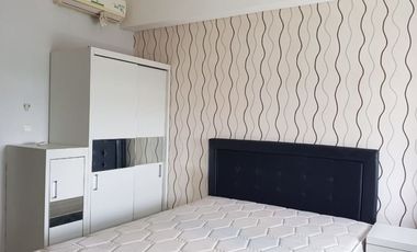 Disewakan Apartemen Silkwood Alam Sutera Tangerang Sebrang Univ Binus Studio Tower Maple