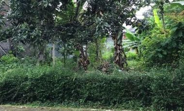 Tanah di Banyumanik Semarang Strategis Dekat Tol Banyumanik