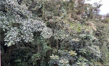 Apartamento amoblado en arriendo, barrio Niza, Manizales