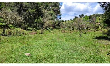 Venta de Terreno ideal para subdividir en parcelas en Guarne