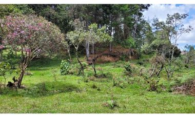 Venta de Terreno ideal para subdividir en parcelas en Guarne