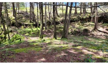 Venta de Terreno ideal para subdividir en parcelas en Guarne