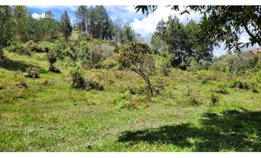 Venta de Terreno ideal para subdividir en parcelas en Guarne
