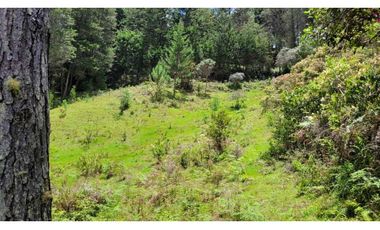 Venta de Terreno ideal para subdividir en parcelas en Guarne