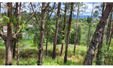 Venta de Terreno ideal para subdividir en parcelas en Guarne