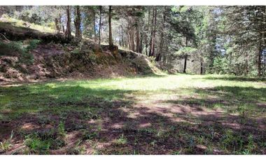 Venta de Terreno ideal para subdividir en parcelas en Guarne