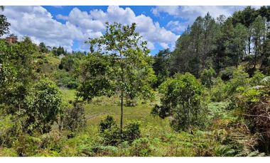 Venta de Terreno ideal para subdividir en parcelas en Guarne