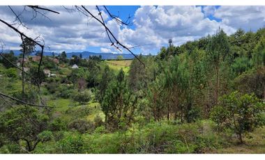 Venta de Terreno ideal para subdividir en parcelas en Guarne