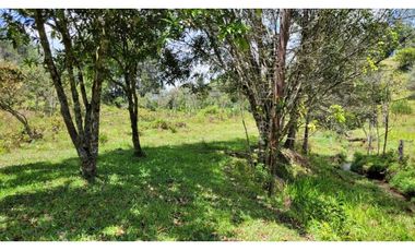 Venta de Terreno ideal para subdividir en parcelas en Guarne