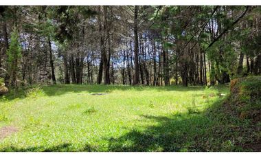 Venta de Terreno ideal para subdividir en parcelas en Guarne