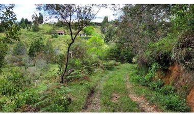 Venta de Terreno ideal para subdividir en parcelas en Guarne