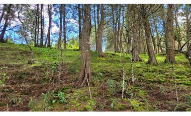 Venta de Terreno ideal para subdividir en parcelas en Guarne