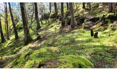 Venta de Terreno ideal para subdividir en parcelas en Guarne