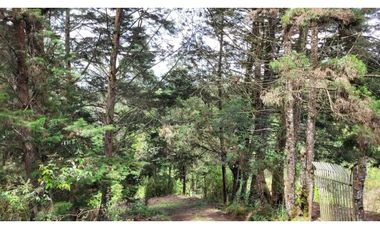 Venta de Terreno ideal para subdividir en parcelas en Guarne