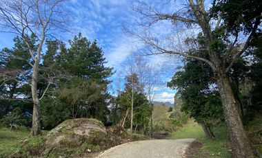 Oportunidad Lotes primera linea Lago Ranco