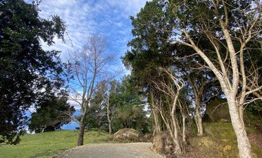 Oportunidad Lotes primera linea Lago Ranco
