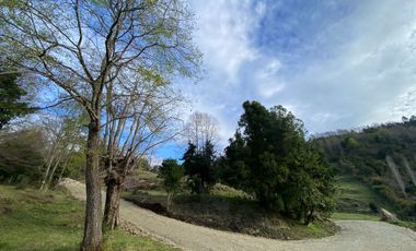 Oportunidad Lotes primera linea Lago Ranco