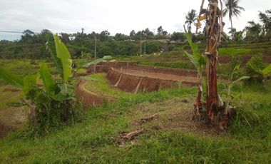 10331 M2 Tanah Jalur Kuning, di Desa Sukatani, Ngamprah, Bandung Barat