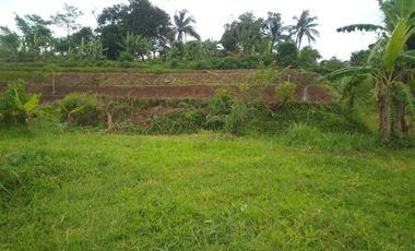 10331 M2 Tanah Jalur Kuning, di Desa Sukatani, Ngamprah, Bandung Barat
