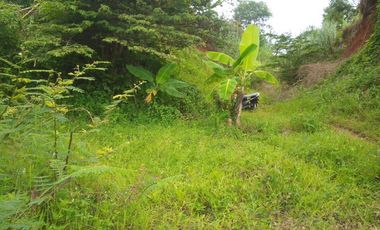 10331 M2 Tanah Jalur Kuning, di Desa Sukatani, Ngamprah, Bandung Barat