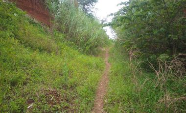 10331 M2 Tanah Jalur Kuning, di Desa Sukatani, Ngamprah, Bandung Barat