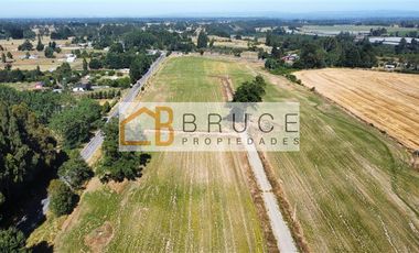 Parcela en venta en Río Bueno