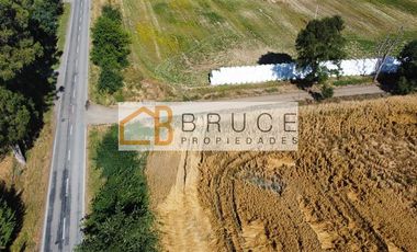 Parcela en venta en Río Bueno