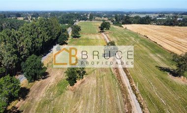 Parcela en venta en Río Bueno