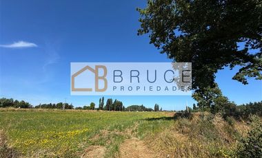 Parcela en venta en Río Bueno