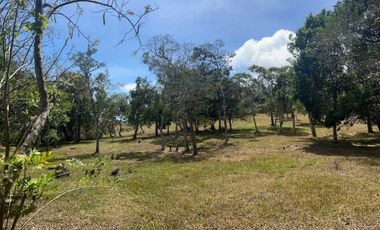 TERRENOS A LA VENTA LOS LLANITOS CAMINO AL VALLE DE ANTON