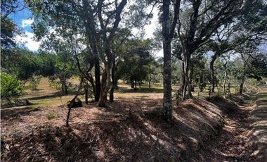 TERRENOS A LA VENTA LOS LLANITOS CAMINO AL VALLE DE ANTON