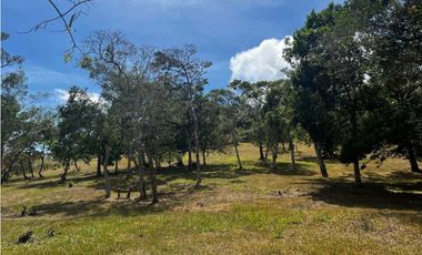 TERRENOS A LA VENTA LOS LLANITOS CAMINO AL VALLE DE ANTON