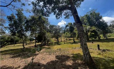 TERRENOS A LA VENTA LOS LLANITOS CAMINO AL VALLE DE ANTON