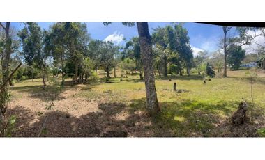 TERRENOS A LA VENTA LOS LLANITOS CAMINO AL VALLE DE ANTON