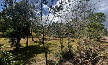 TERRENOS A LA VENTA LOS LLANITOS CAMINO AL VALLE DE ANTON
