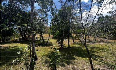 TERRENOS A LA VENTA LOS LLANITOS CAMINO AL VALLE DE ANTON