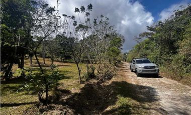 TERRENOS A LA VENTA LOS LLANITOS CAMINO AL VALLE DE ANTON