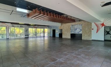LOCAL COMERCIAL/ OFICINAS