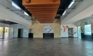 LOCAL COMERCIAL/ OFICINAS