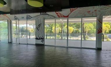 LOCAL COMERCIAL/ OFICINAS