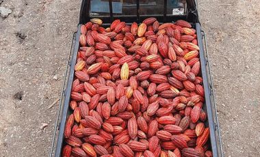 VENTA DE HACIENDA PRODUCTIVA EN COLONCHE (CMC)