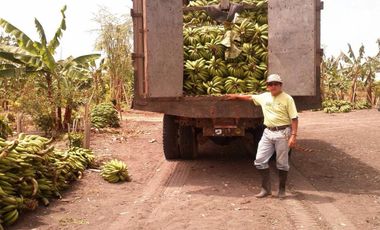 VENTA DE HACIENDA PRODUCTIVA EN COLONCHE (CMC)