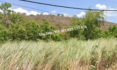 Dijual Murah Tanah Kebun 600 ha Lombok Timur NTB