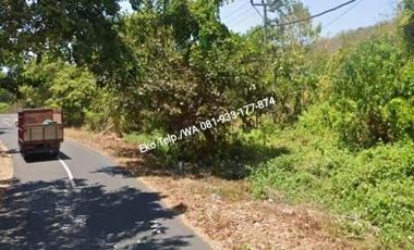 Dijual Murah Tanah Kebun 600 ha Lombok Timur NTB