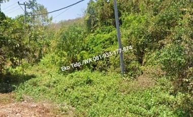 Dijual Murah Tanah Kebun 600 ha Lombok Timur NTB