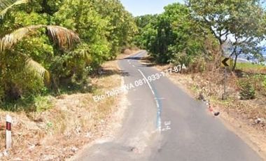 Dijual Murah Tanah Kebun 600 ha Lombok Timur NTB