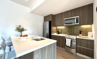 RENTA DEPARTAMENTO CONDESA